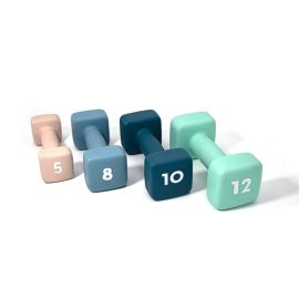 Cast Iron Vinyl Dumbbell