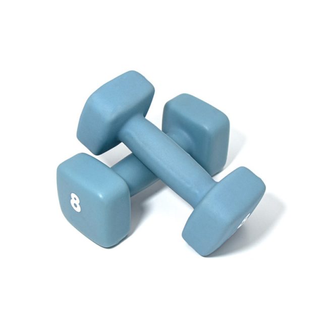 Cast Iron Vinyl Dumbbell - Image 2