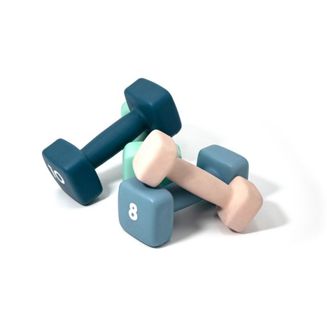 Cast Iron Vinyl Dumbbell - Image 4