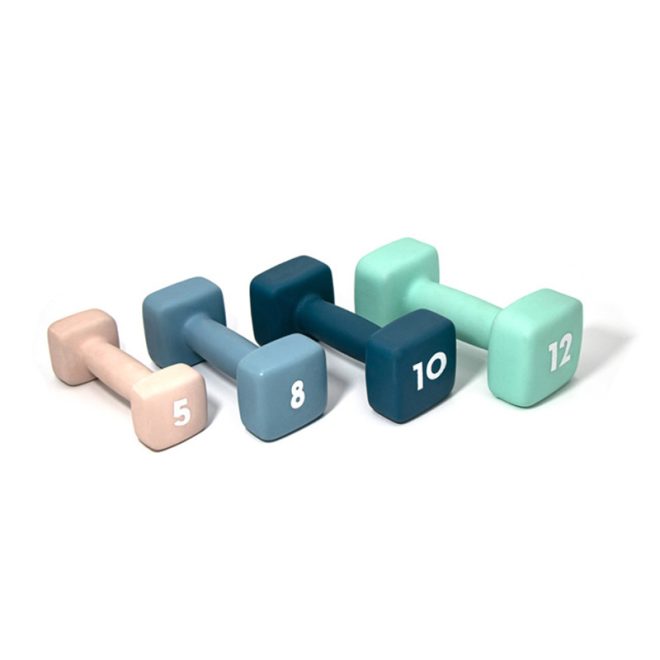 Cast Iron Vinyl Dumbbell - Image 5
