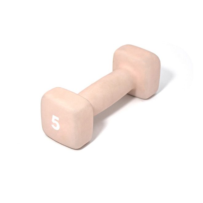Cast Iron Vinyl Dumbbell - Image 6